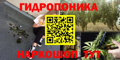 трава Дубна