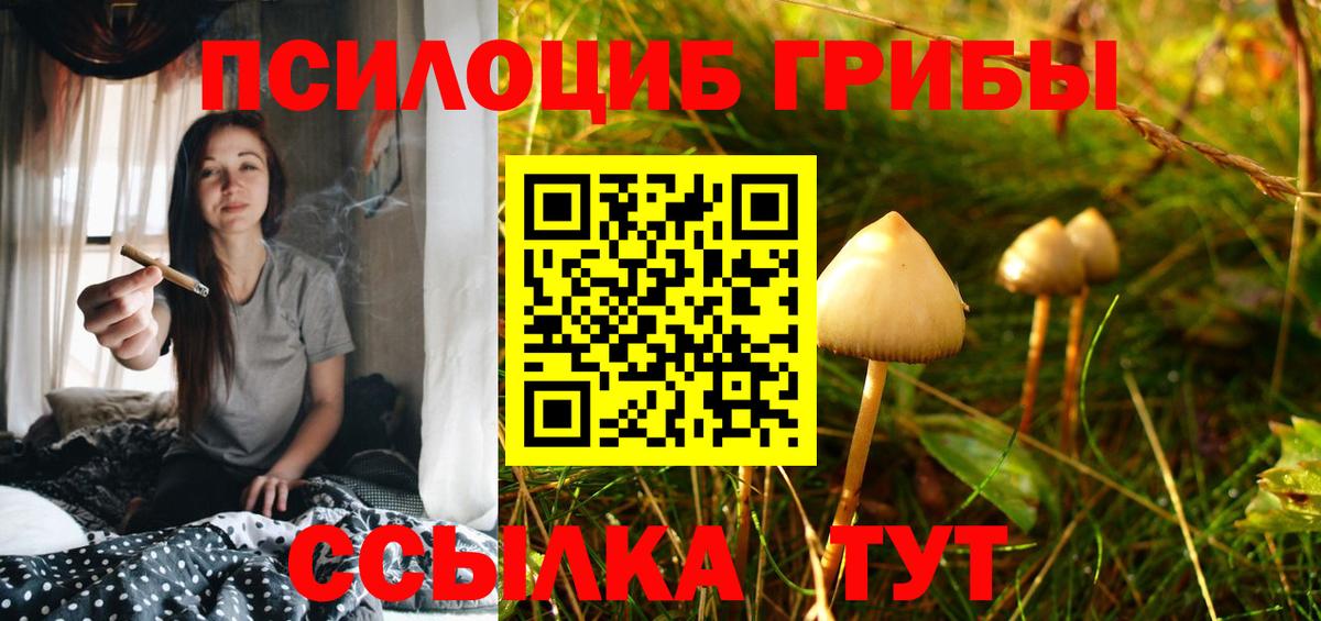Псилоцибиновые грибы GOLDEN TEACHER  купить наркотик  Майский  Вход с VPN 