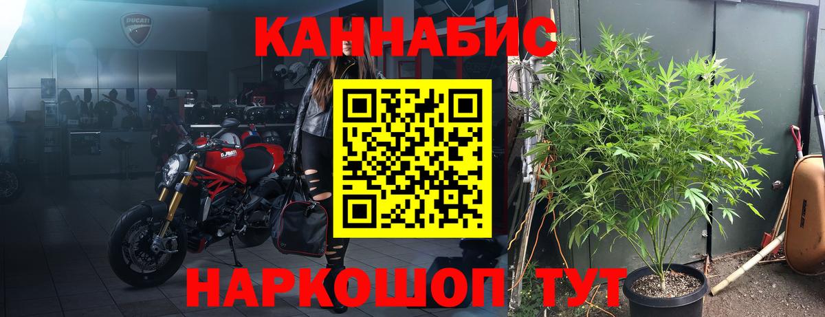 Каннабис индика Майский