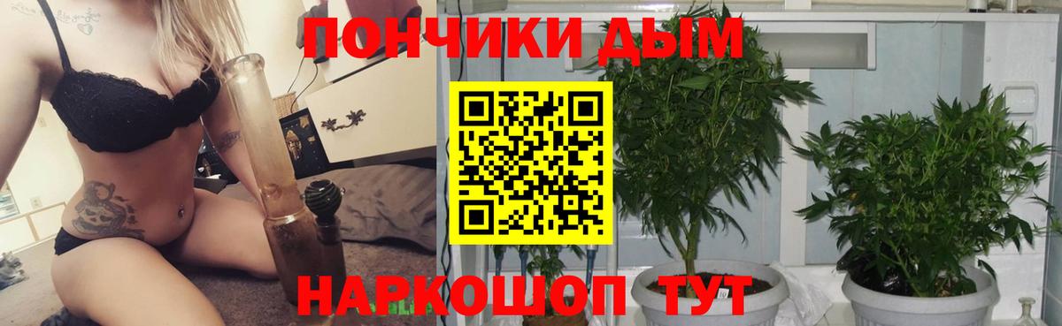 Конопля OG Kush  Вход с VPN  Бошки марихуана AK-47  Майский  Марихуана планчик 